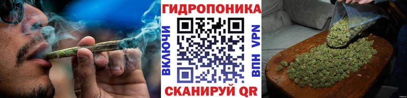 Шишки марихуана MAZAR Новосиль